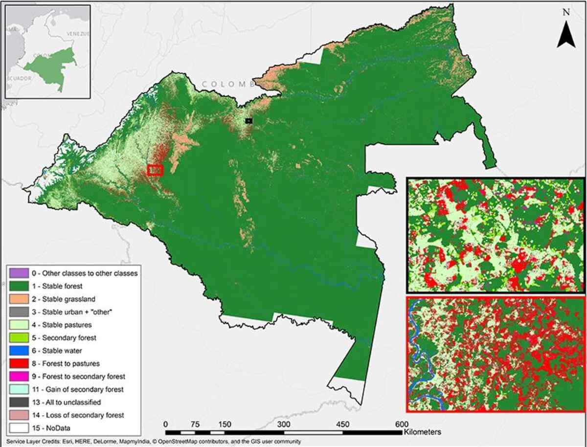 mapping deforestation