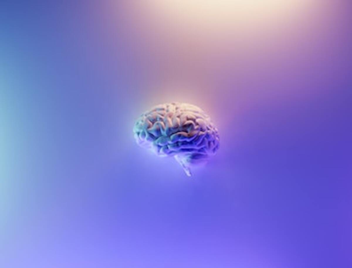 human brain on the purple background