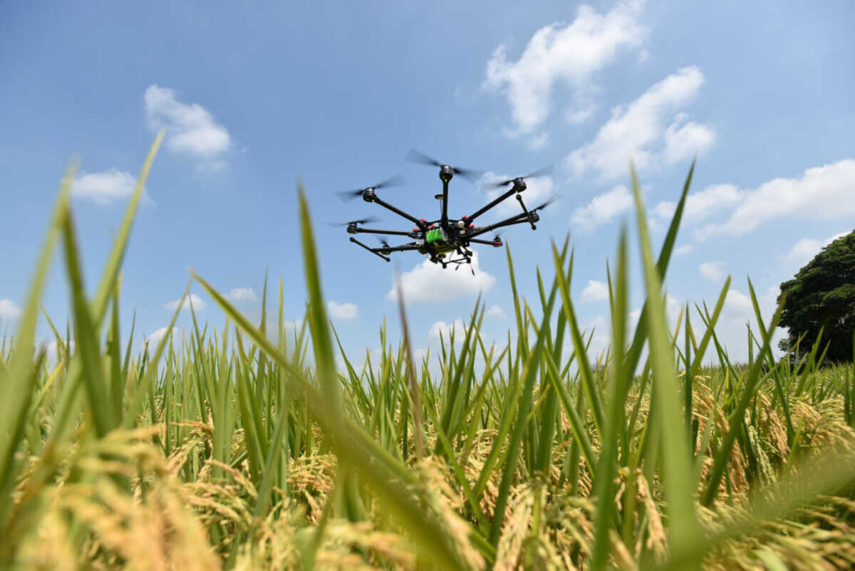 drone flying abowe the grass field