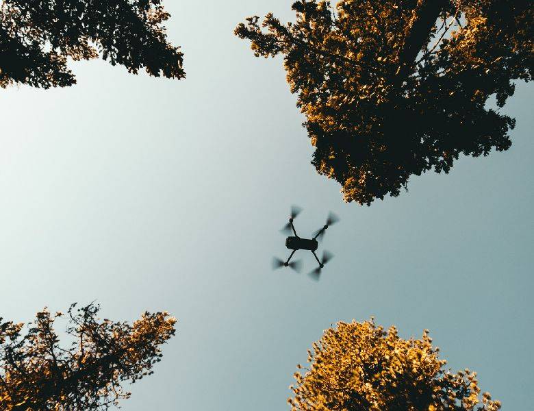 Leveraging Drones and AI to Increase the Efficiency and Decrease Risk in Reforestation Projects