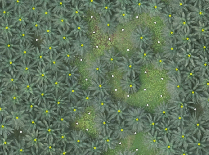 AyaGrow Ayagrow