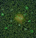 Navigating the EUDR AyaGrow's Farm-Level Precision for Compliance
