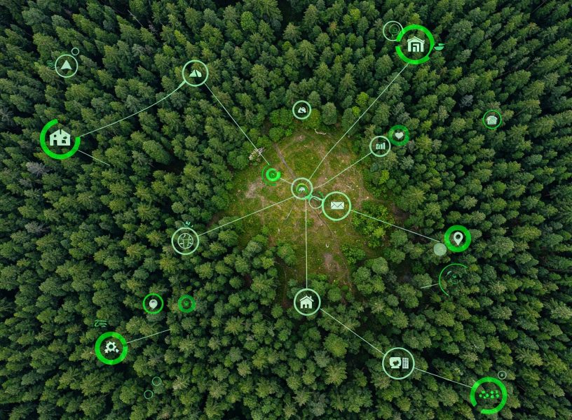 Navigating the EUDR AyaGrow's Farm-Level Precision for Compliance