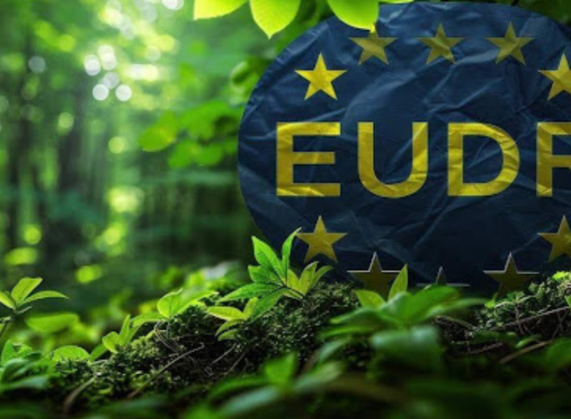 Digital Solutions to MEET EUDR Compliance