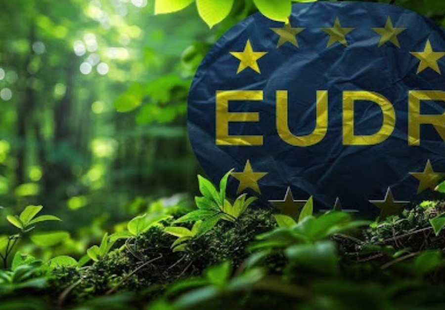 Digital Solutions to MEET EUDR -Aya Data Digital Solutions to MEET EUDR Compliance